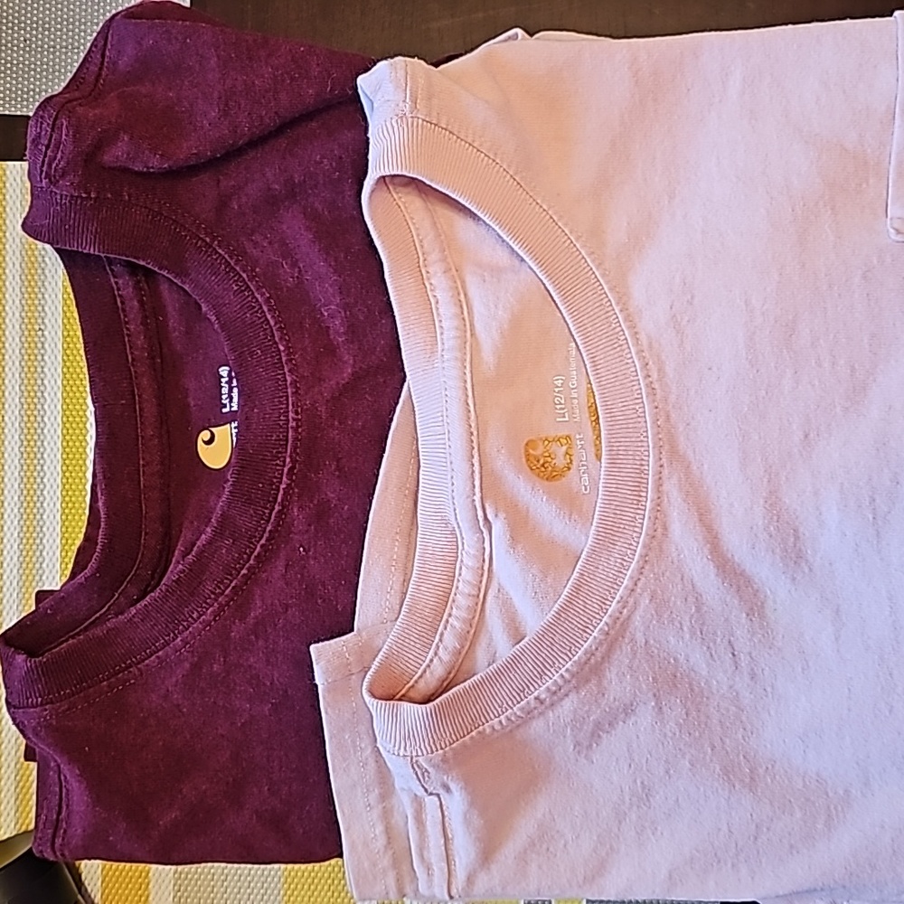2 Carhartt T-shirts original fit in size large
